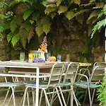 Maison Spacieuse A Camarade Avec Grand Jardin Pour 15 Personnes *