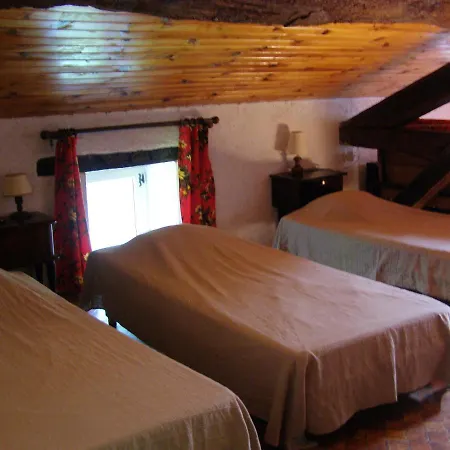 Maison Spacieuse A Camarade Avec Grand Jardin Pour 15 Personnes Feriehus *