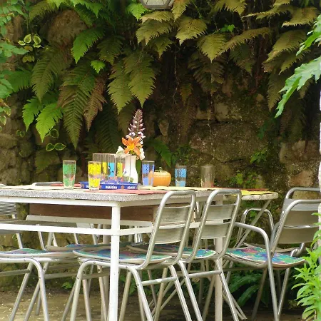 Maison Spacieuse A Camarade Avec Grand Jardin Pour 15 Personnes *